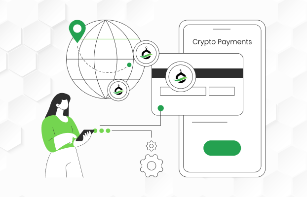 Cryptocurrency Payments: Understanding the User Perspective