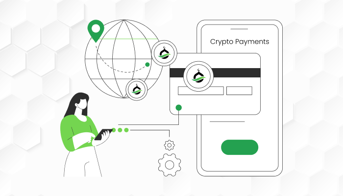 Cryptocurrency Payments: Understanding the User Perspective