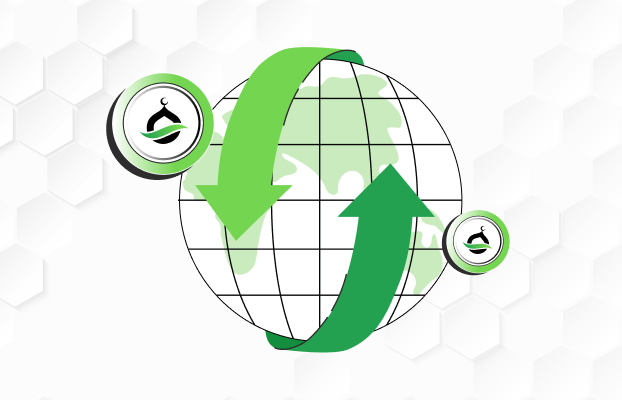 Cryptocurrency and Financial Inclusion in Remittances