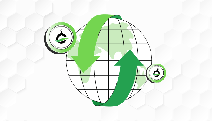 Cryptocurrency and Financial Inclusion in Remittances